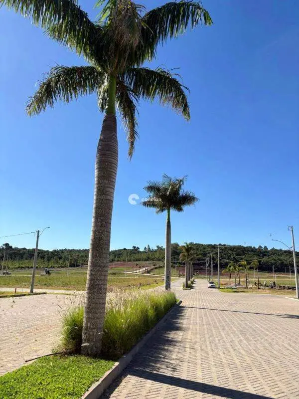 Terreno à venda no Parque Serrano I: 