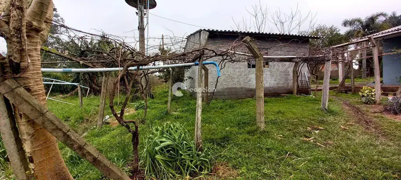Casa à venda no Diácono João Luiz Pozzobon: