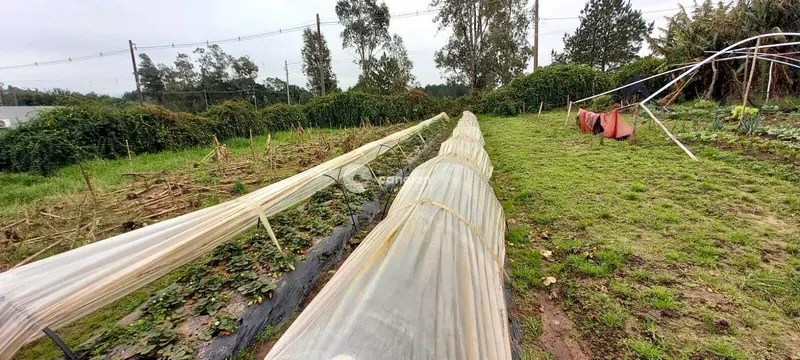 Casa à venda no Diácono João Luiz Pozzobon: