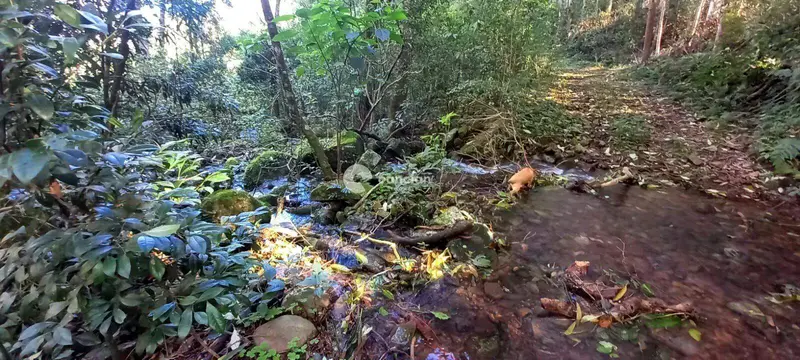 Área Rural à venda no Arroio Grande: 