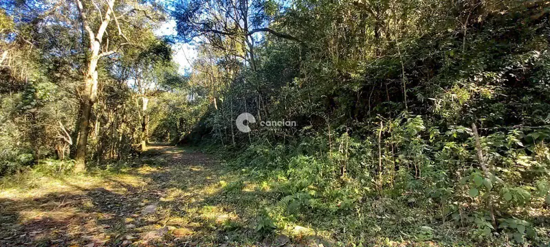 Área Rural à venda no Arroio Grande: 