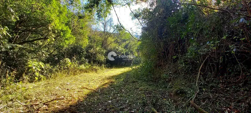 Área Rural à venda no Arroio Grande: 
