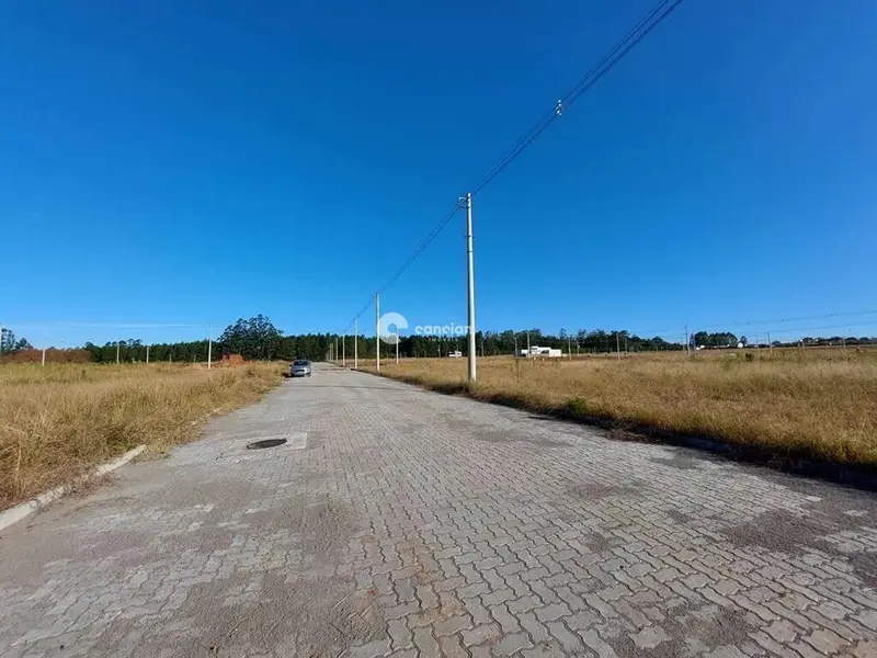 Terreno à venda no Camobi: 