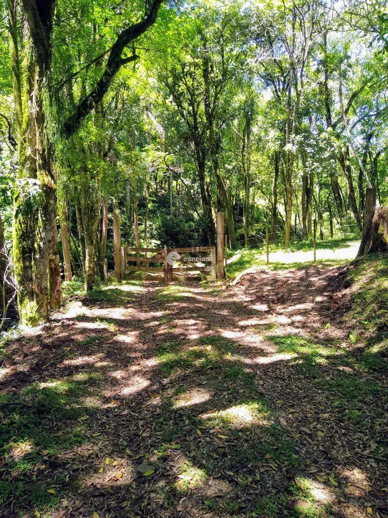 Área Rural à venda no Itaara: 