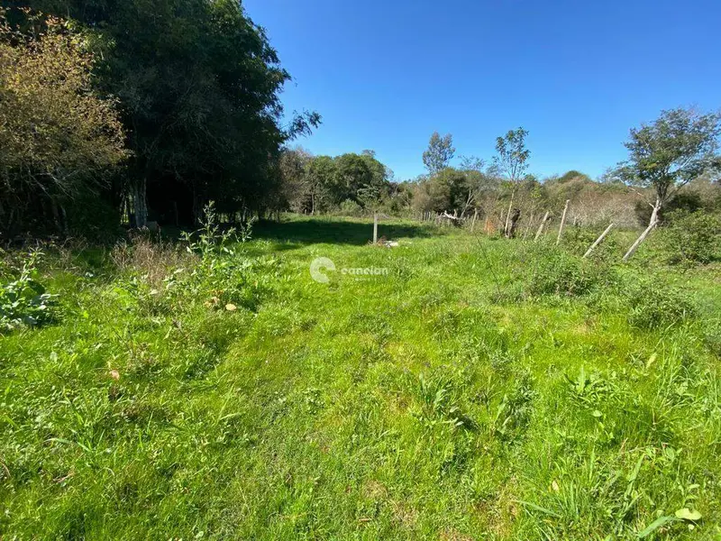 Terreno à venda no Pinheiro Machado: 