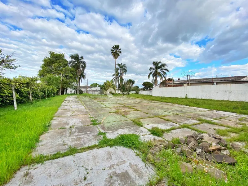 Terreno à venda no Pinheiro Machado: 