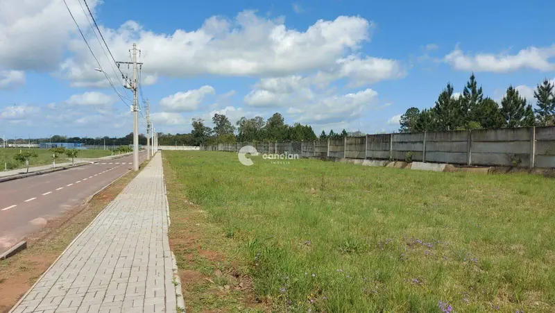 Terreno à venda no Camobi: 