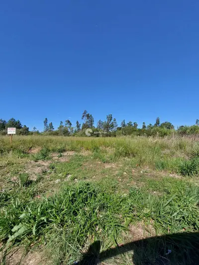 Terreno à venda no Pé de Plátano: 