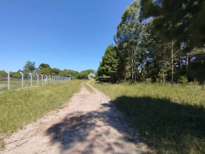 Terreno à venda no Tomazetti: 