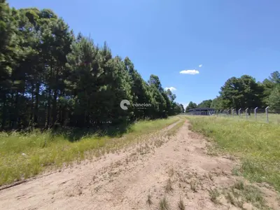 Terreno à venda no Tomazetti: 
