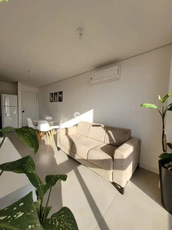 Apartamento para aluguel no Camobi: 