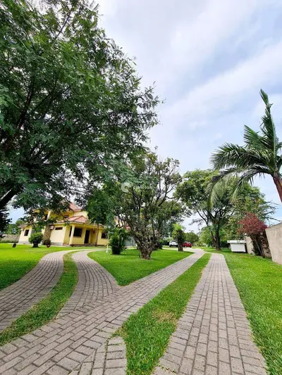 Casa para aluguel no Pinheiro Machado: 
