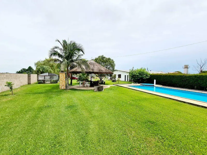 Casa para aluguel no Pinheiro Machado: 