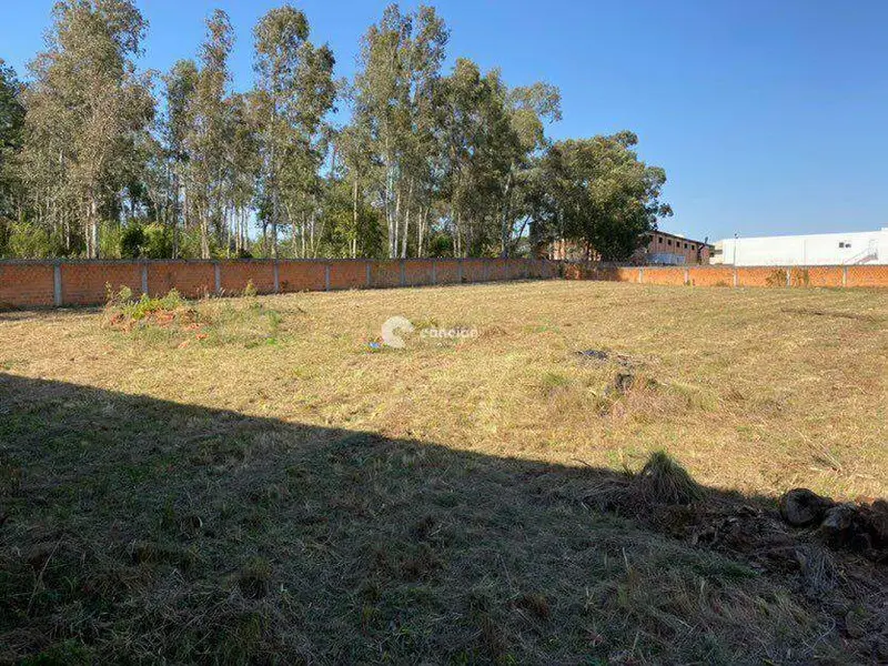 Terreno para aluguel no Pé de Plátano: 