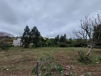 Terreno à venda no Lorenzi: 