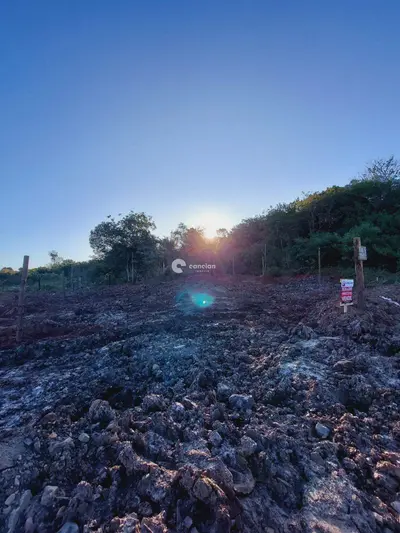 Terreno à venda no Urlândia: 