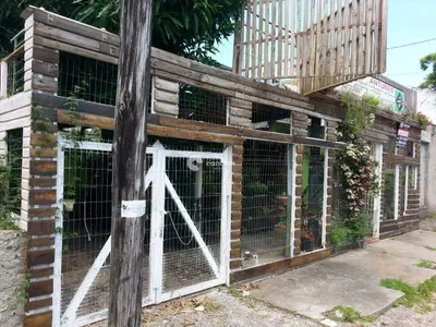 Terreno à venda no Passo D'Areia: 