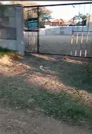 Terreno à venda no Centro: 