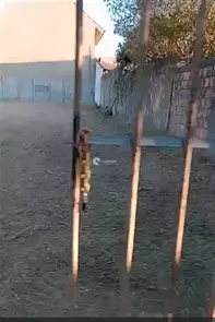 Terreno à venda no Centro: 