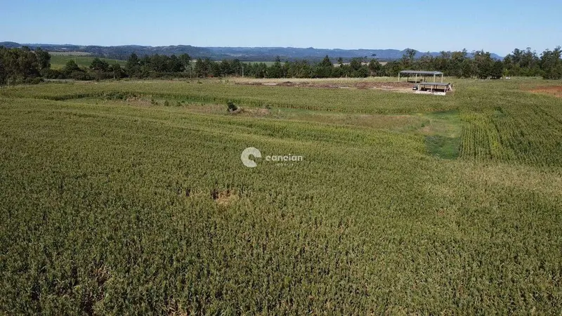 Área Rural à venda no Zona rural: 