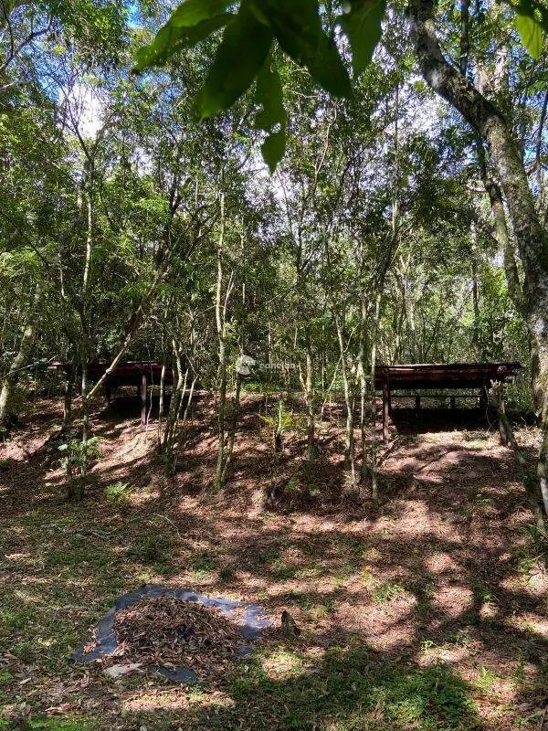 Área Rural à venda no Silveira Martins: 
