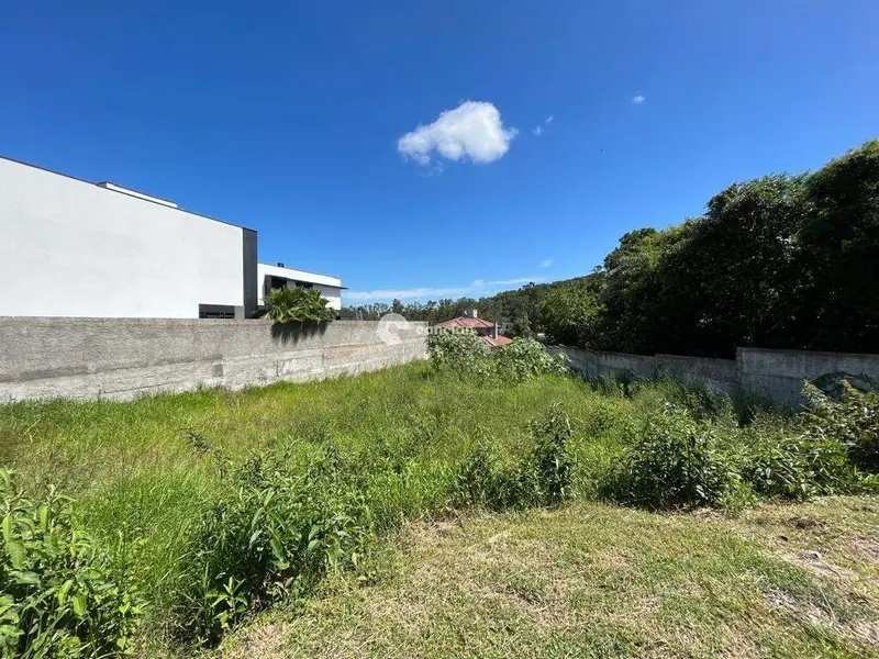 Terreno à venda no Cerrito: 