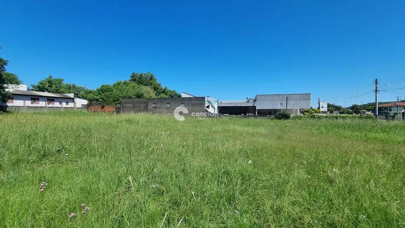 Terreno à venda no Camobi: 