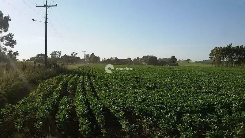 Terreno à venda no Camobi: 