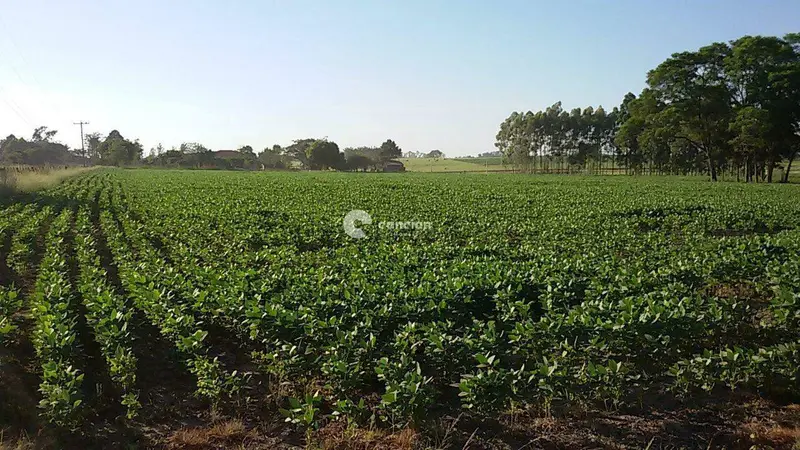 Terreno à venda no Camobi: 