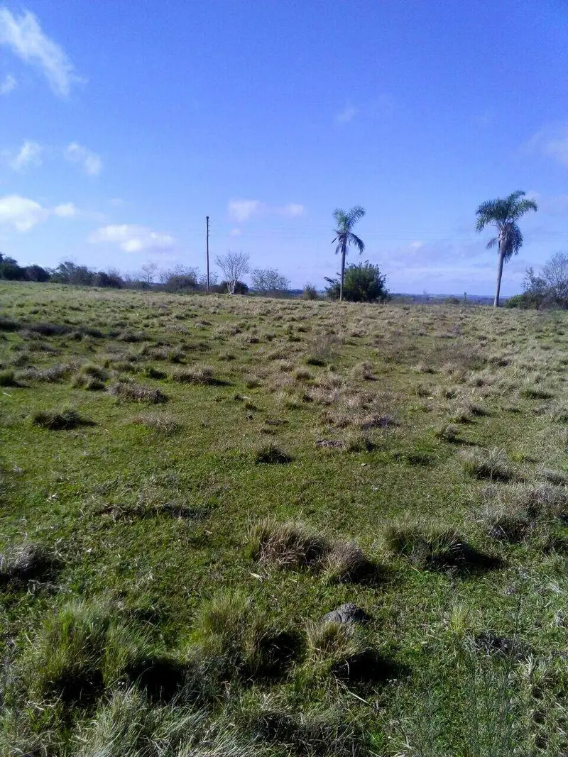 Área Rural à venda no Zona Rural: 