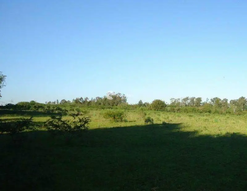 Terreno à venda no Camobi: 
