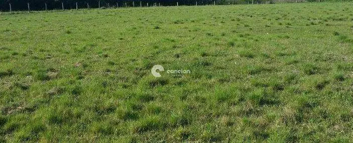 Terreno à venda no Camobi: 