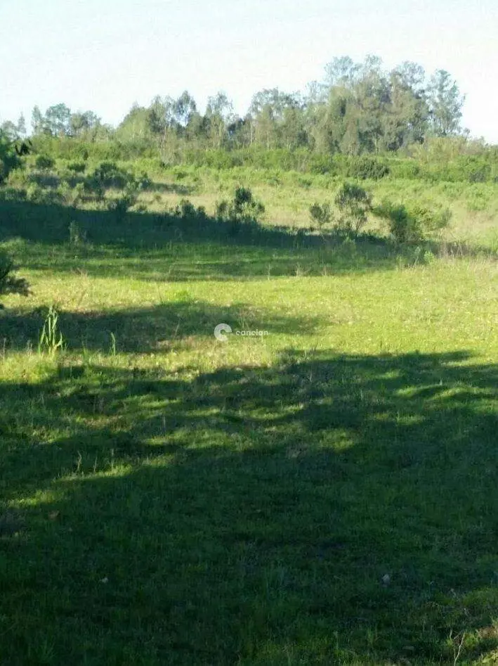 Terreno à venda no Camobi: 
