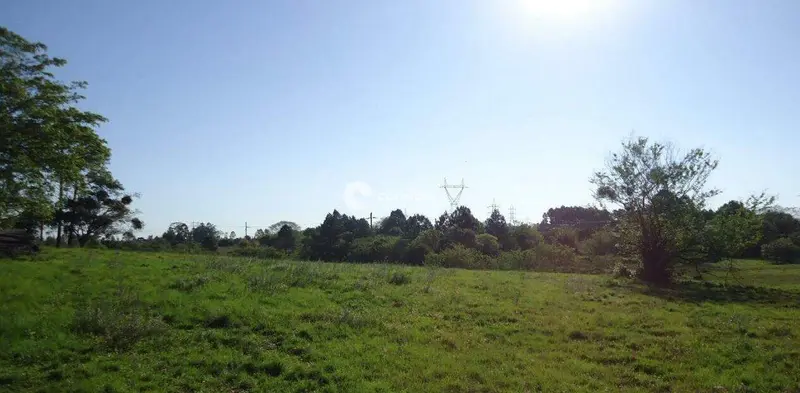 Terreno à venda no Camobi: 