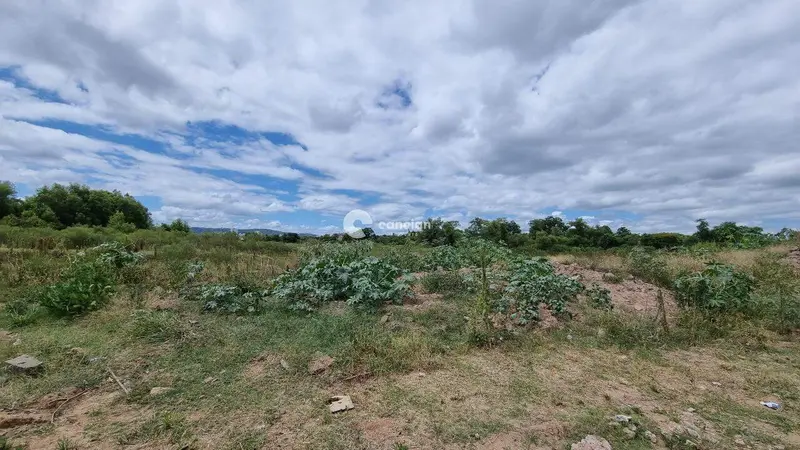 Terreno à venda no Urlândia: 
