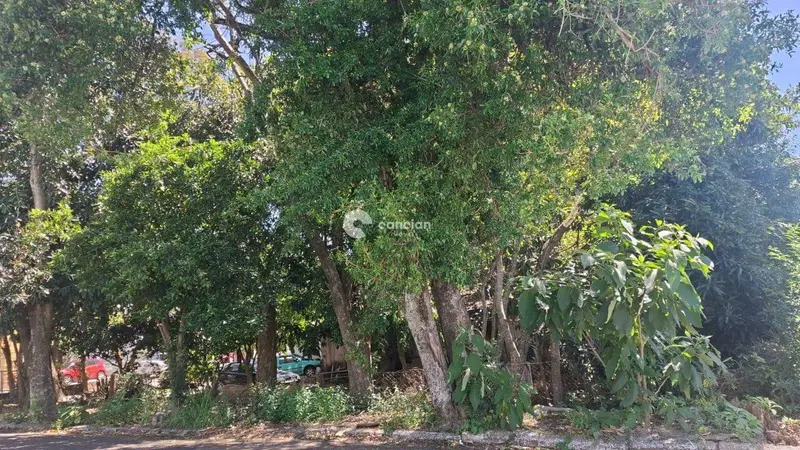 Terreno à venda no Nossa Senhora de Lourdes: