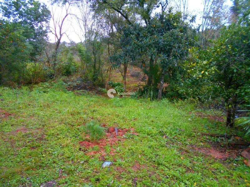 Terreno à venda no Camobi: