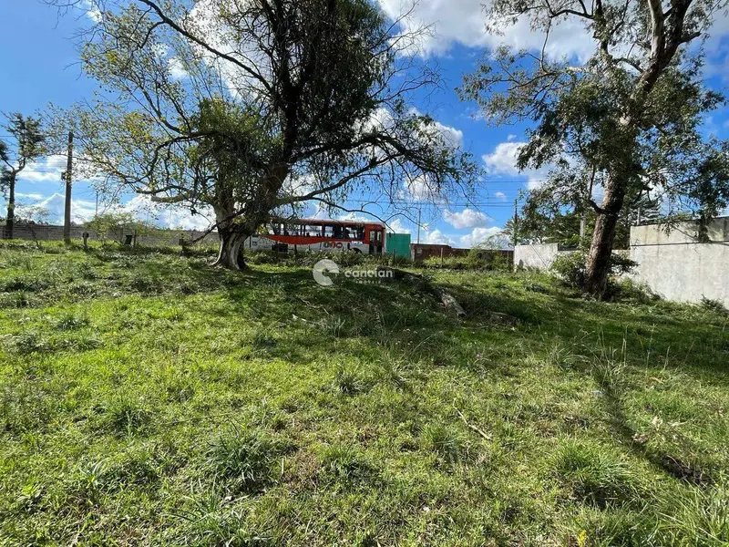 Terreno à venda no São José: 