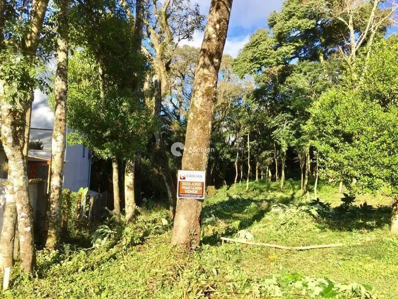 Terreno à venda no Novo Pinhal:
