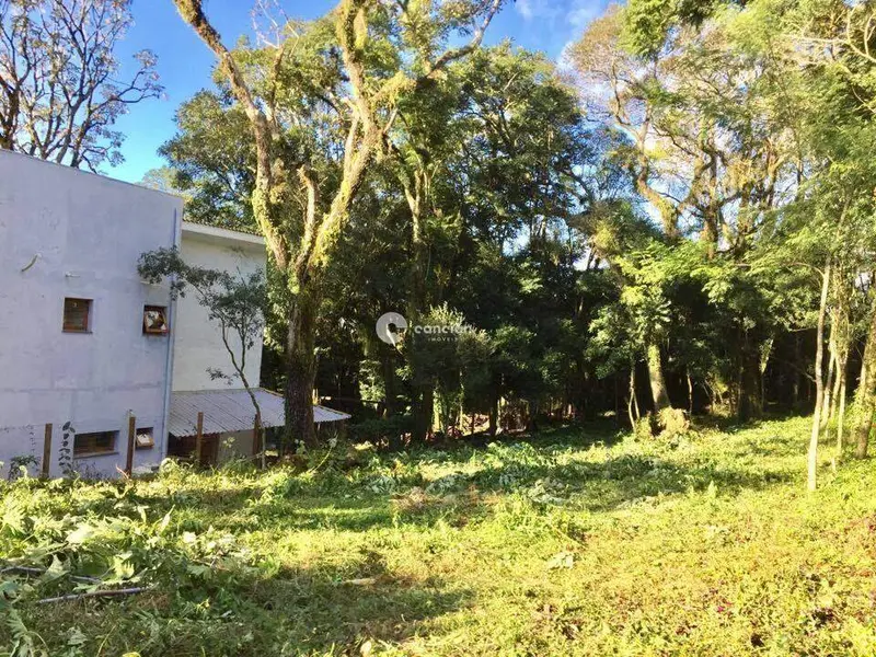 Terreno à venda no Novo Pinhal: