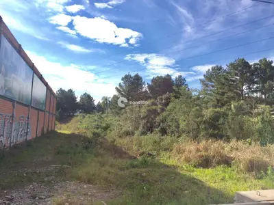 Terreno à venda no Pé de Plátano: 