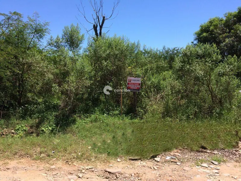 Terreno à venda no Boi Morto: 