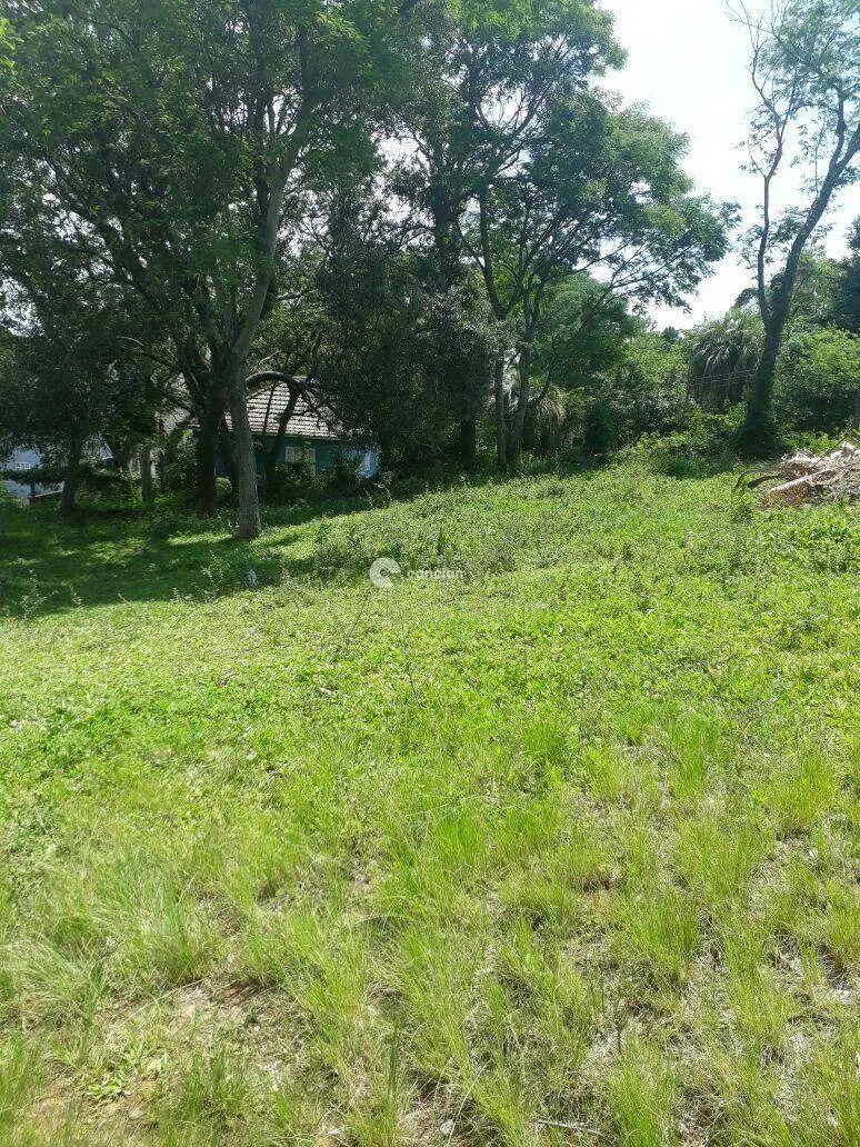Terreno à venda no Chácara das Flores: 