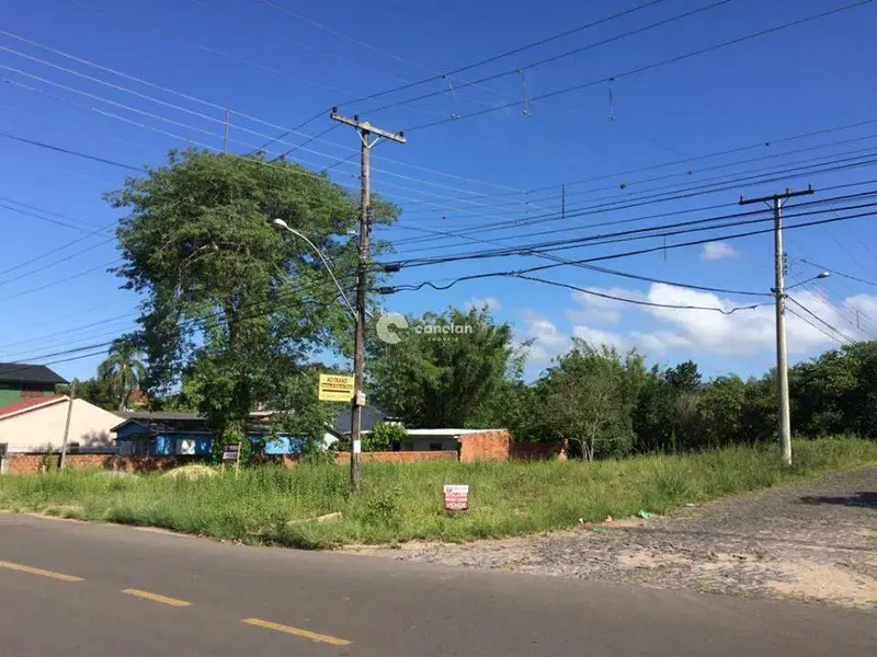 Terreno à venda no Camobi: 