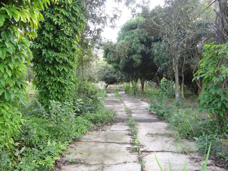 Terreno à venda no Camobi: 
