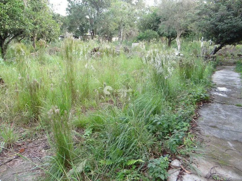 Terreno à venda no Camobi: 