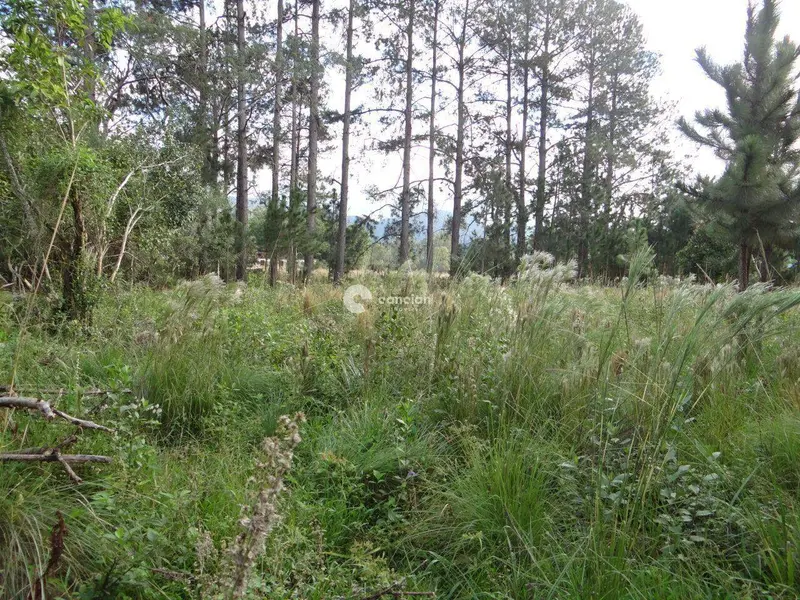 Terreno à venda no Camobi: 