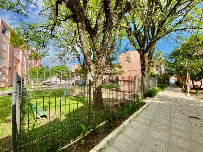 Apartamento à venda no Nossa Senhora Medianeira: 