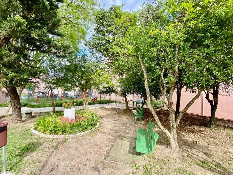 Apartamento à venda no Nossa Senhora Medianeira: 