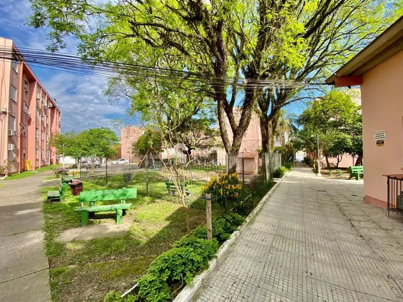 Apartamento à venda no Nossa Senhora Medianeira: 